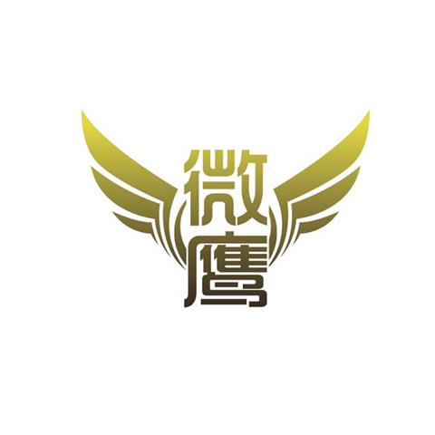 12类 运输工具 微鹰