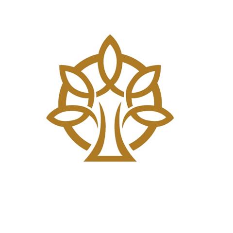 36类金融物管 树图形