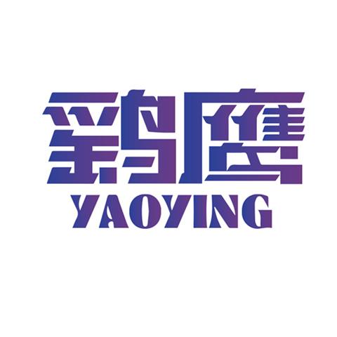 06类五金商标 鹞鹰