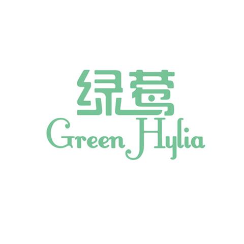 16类文具商标 绿莺